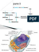 Copia de La Celula Parte II