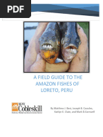 Best Et Al., (2015) A Field Guide To The Amazon Fishes of Loreto Peru 2nd Ed