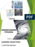 Understanding Typhoons