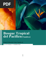 Bosque Tropical Del Pacifico