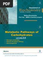 3 & 4 CHO Metabolism 2024