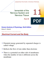 Nerve Impulse 1