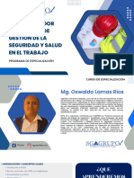 Dia 1 - Implementador Del Sistema de Gestion de La Seguridad y Salud en El Trabajo