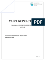 Caiet de Practică