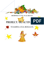 Proiectdef1 Madalina Balea