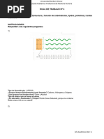 Actividad 3 - Semana 3 - Biomoleculas