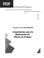 Lineamientos para Elaboración Planes de Trabajo General