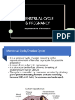 Menstrual Cycle & Pregnancy