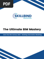 BIM Mastery