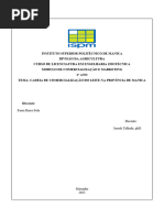 Cadeia de Comercialização de Leite em Moçambique