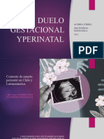 Duelo Perinatal