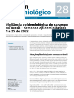 Boletim Epidemiologico Vol 53 No28