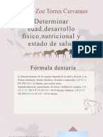 Desarrollo Fisico, Nutricional, y Estado de Salud