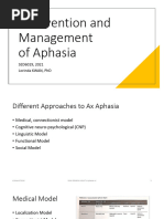 SED6019-20-21 S2 STUDENT-intervention-of-Aphasia 20190225