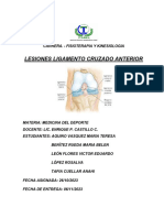 Lesion Ligamento Cruzado Anterior