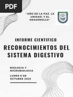 Reconocimiento Del Sistema Digestivo