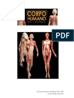 Corpo Humano Relatorio