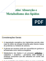 Aula 8 - Metabolismo Dos Lipídeos