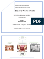 Variaciones y Anomalías. Mapa Conceptual