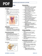 QUIAMBAO - Urinary System Reviewer - AnaPhy Lec