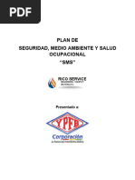 Plan de Sms - Rico Service-Oruro