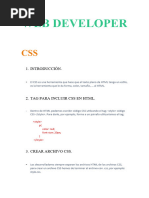 Web Developer CSS