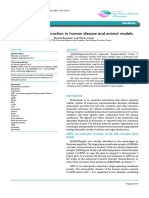 Inherited lrp2 Dysfunction in Human Disease and Animal Models