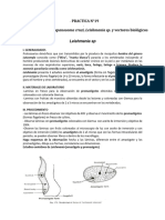 Practica #19 y 20 - Enfermeria