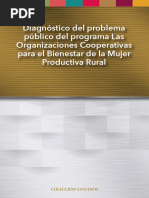 Informe Final Diagnostico Organizaciones Mujer Productiva Rural