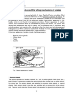 Poison Apparatus and The Biting Mechanism of Snakes