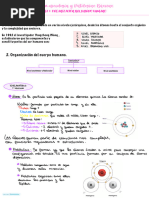 Parcial 1 2