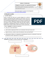 FICHA DE TRABAJO 02 CTA EDA 07 Como Llegamos Al Mundo... Ok