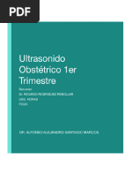 Formato de Tarea - Resumen Ultrasonido Obstétrico 1er Trimestre