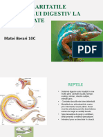 Particularitatile Sistemului Digestiv La Vertebrate