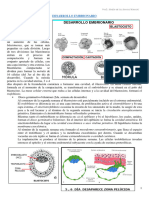 Desarrollo Embrionario