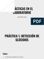 Prácticas en El Laboratorio