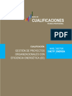 C-N5 - Gestion de Proyectos Organizacionales Con Ee