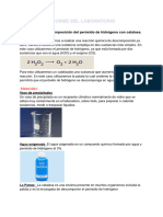 Informe Del Laboratorio