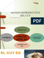 Manejo Reproductivo Del Cuy