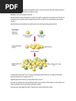 Genética