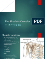 Shoulder Injuries