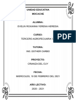 Proyecto El Cuy