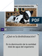 Deshidratación