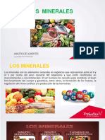 Los Minerales: Analíticadealimentos