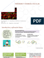 Capítulo 4 Bioquímica