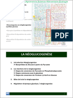 Biochimie Microbienne 05 GluconeogeneseL2