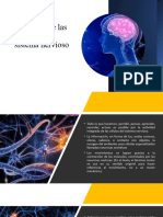 Tema 2 Parte 1 Estructura y Funciones de Las Celulas Del Sistema Nervioso Parte 1