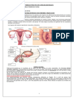 Trabajo Practico de Ciencias Naturales de Santy