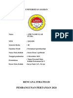 Rencana Strategis Pembangunan Pertanian 2024