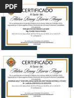 Certificado: Aldrin Renny Rivera Anaya